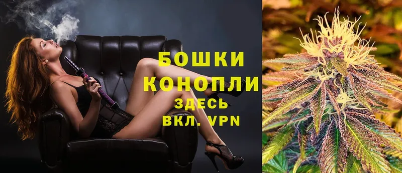 Каннабис OG Kush  Яровое 